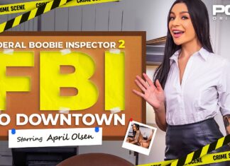 Federal Boobie Inspector 2: Go Downtown