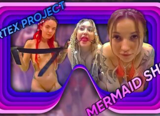 Vortex Project: MERMAIDS. Part 3